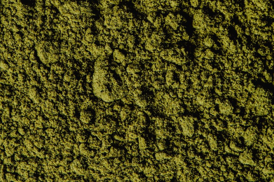 Espirulina: lo que dice la ciencia sobre el «alga» de moda, incluido el beneficio de adelgazar