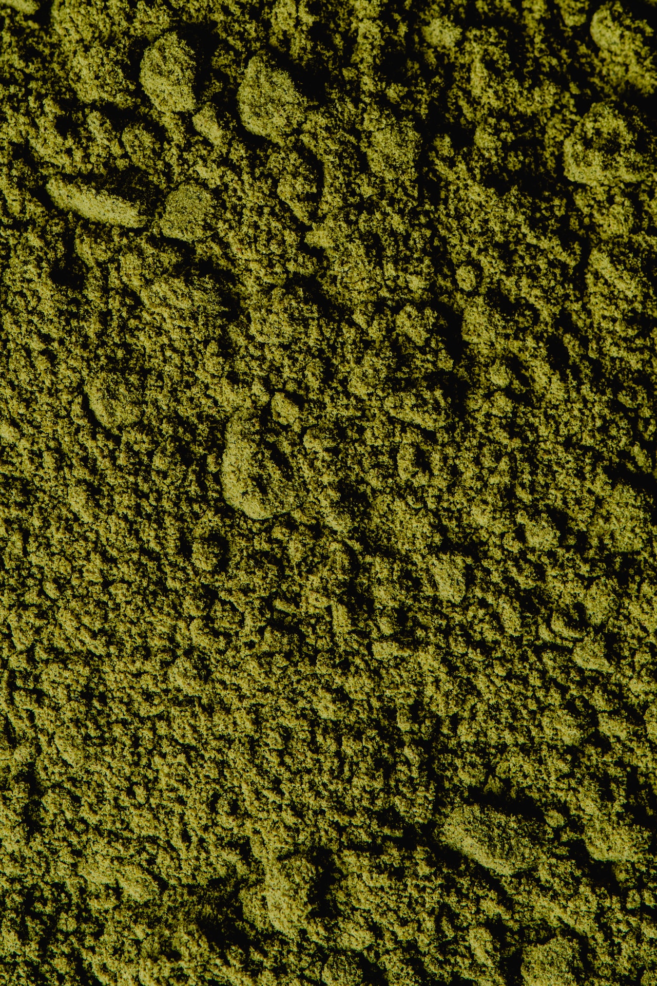 Espirulina: lo que dice la ciencia sobre el «alga» de moda, incluido el beneficio de adelgazar