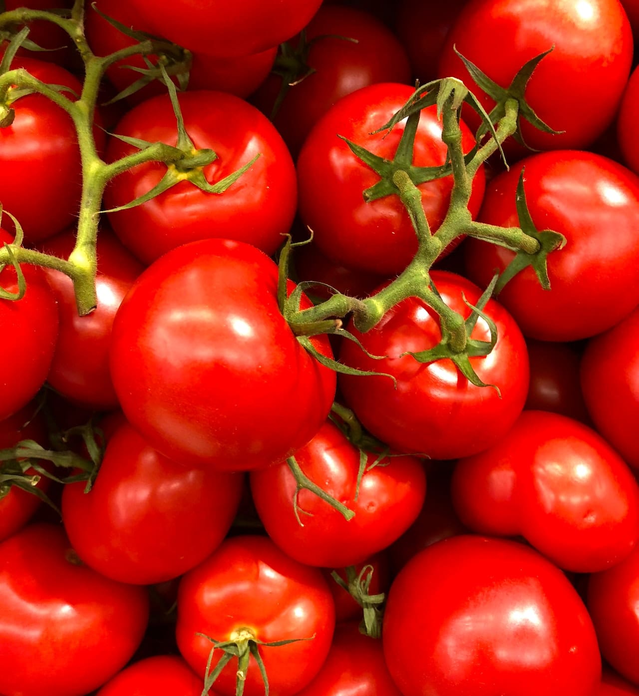 Alimentos contra el calor: ¿puede un plato refrescante reducir la temperatura corporal?