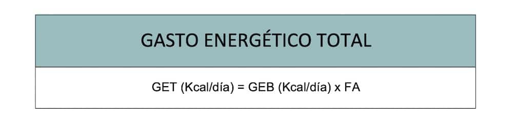 Calcula las CALORIAS que necesitas