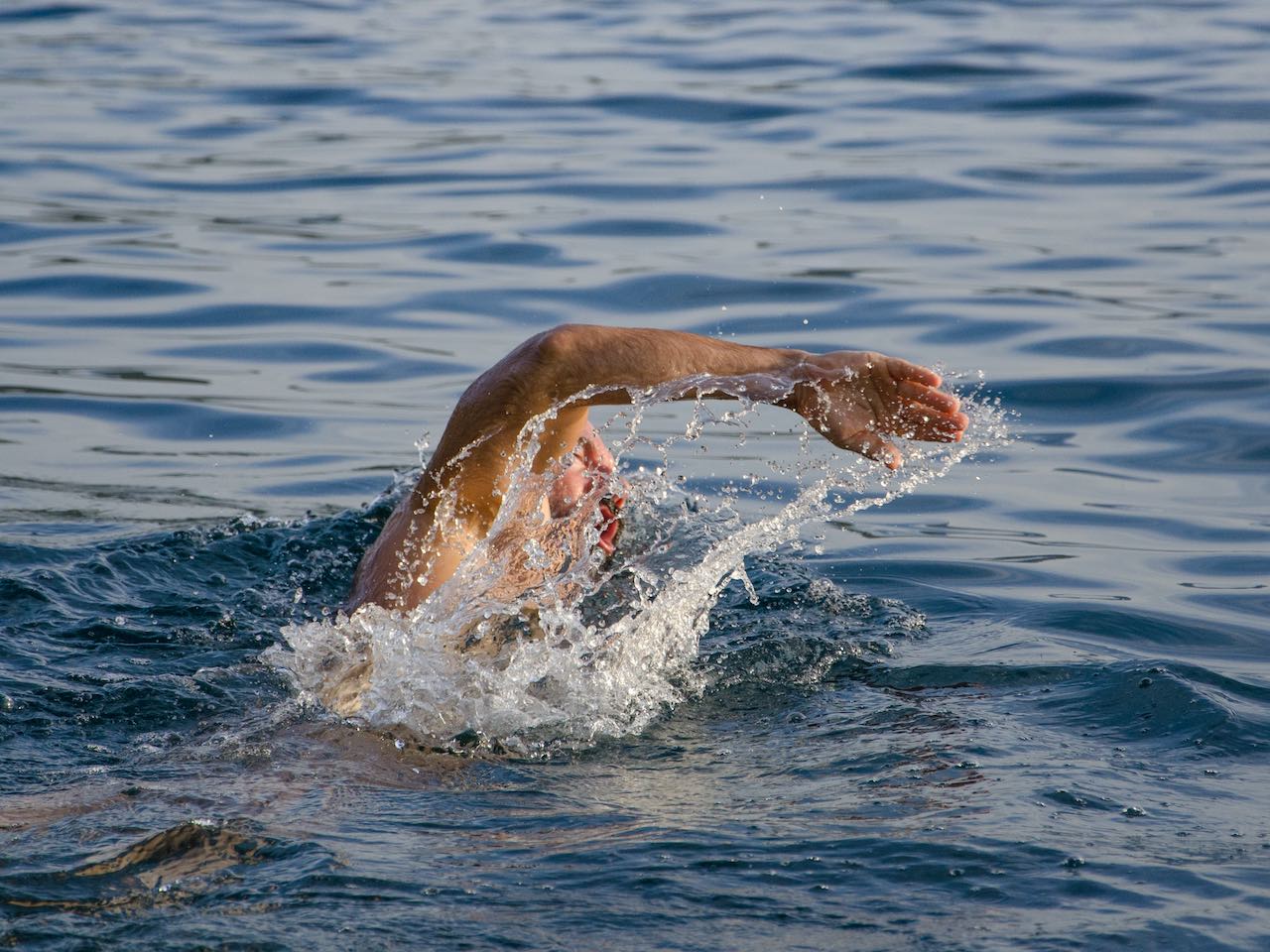 Nadador entrenando en aguas abiertas y comiendo según la alimentación para deportes de resistencia