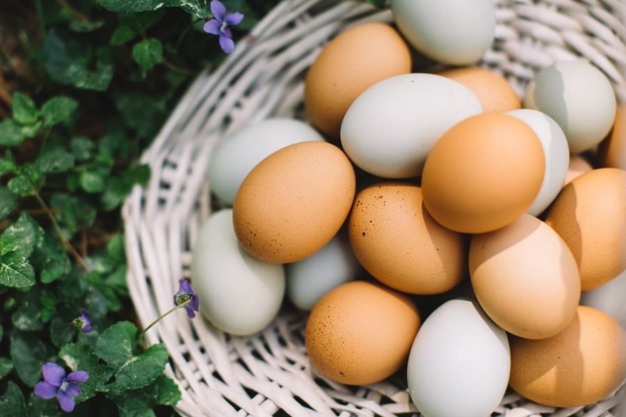 Proteínas del huevo: aquí tienes todo lo que hay que saber