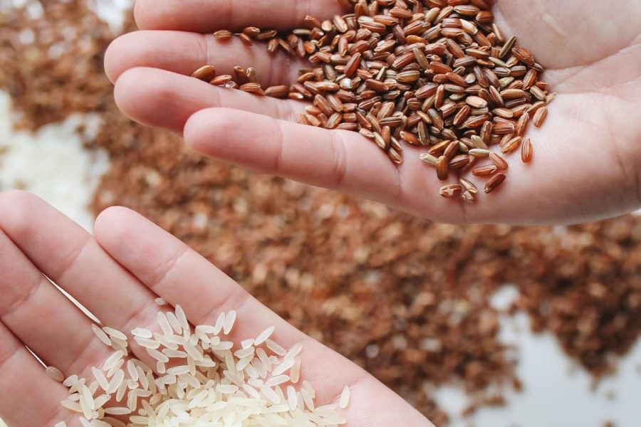 Comparativa nutricional: arroz blanco y arroz integral