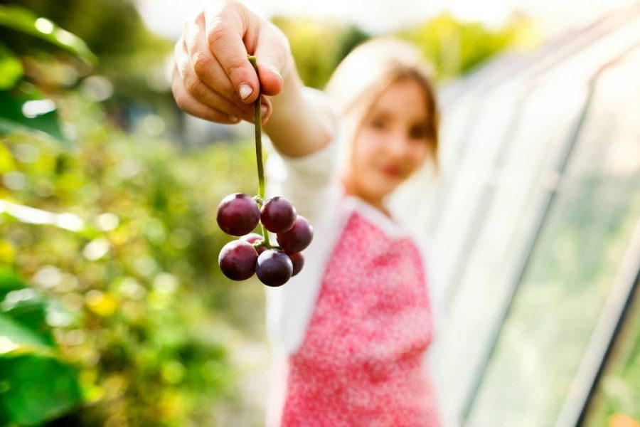 Hígado graso: qué es y cuál es la mejor dieta para mejorar