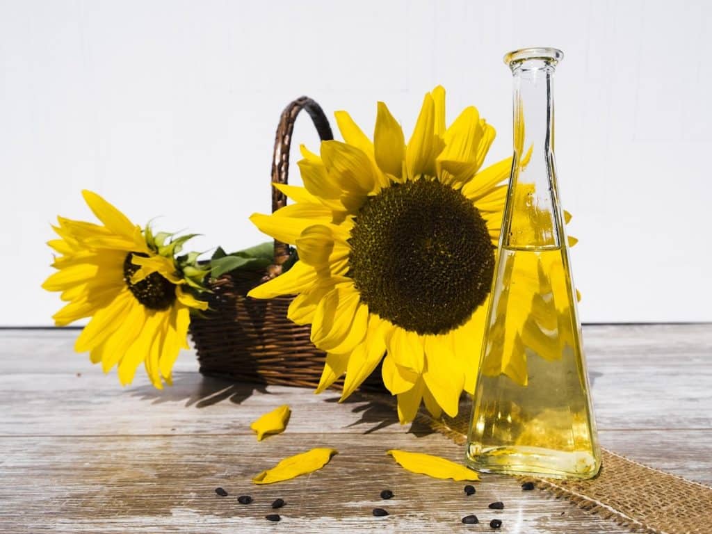 Sunflower oil