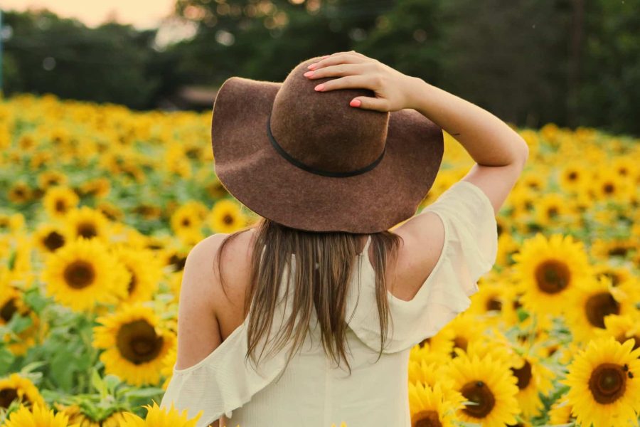 Aceite de girasol: propiedades nutricionales y cómo aprovecharlo en tus platos