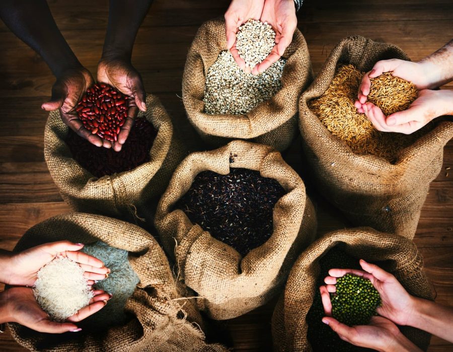 Cómo la dieta macrobiótica puede transformar tu salud y tu relación con la comida
